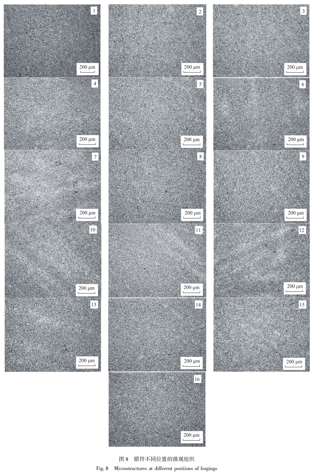 1739107109445529.jpg 8.jpg